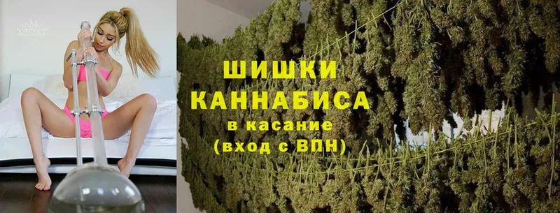 купить  цена  Весьегонск  Каннабис планчик 